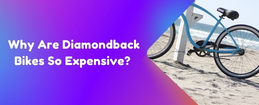 Why Are Diamondback Bikes So Expensive?